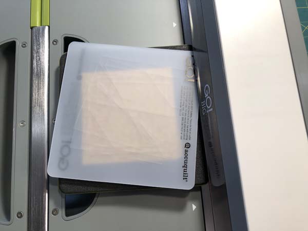 Accuquilt Louisiana Block 10 Place Mat over fabric