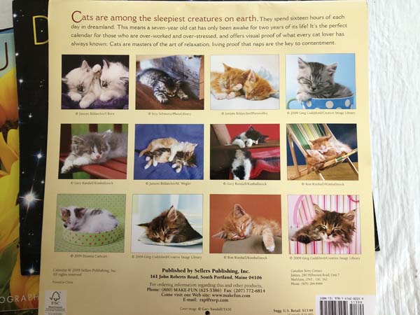 Altoid Tin Calendar Decoupage Sample Picture 2