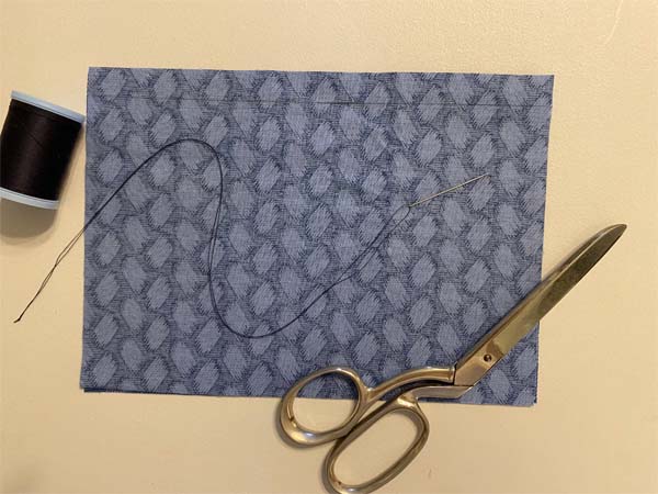 Backstitch Needle Thread