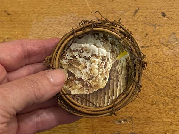 Bird Nest Ornament Cardboard bottom
