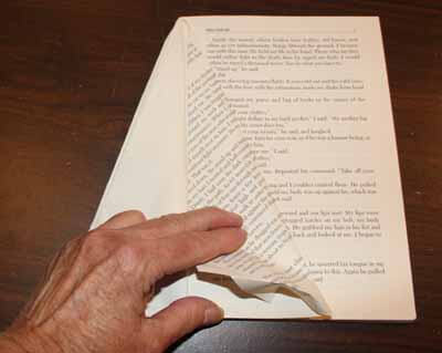 Book Christmas Tree Step 3 - Third Fold