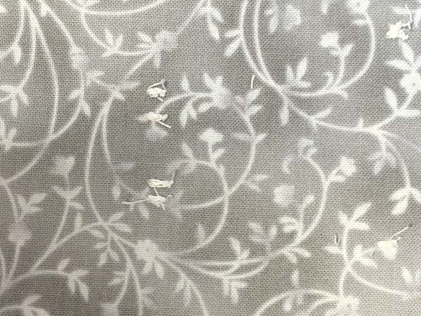 Button Stitch 26 Sewn Snaps Back