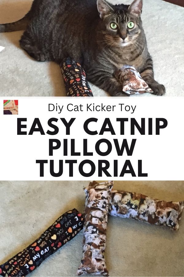 Catnip Kicker Cat Toy - pin