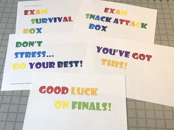 College Exam Care Package Printable