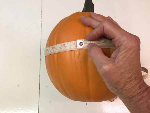 Cute as a Button Pumpkin - Measure Pumpkin