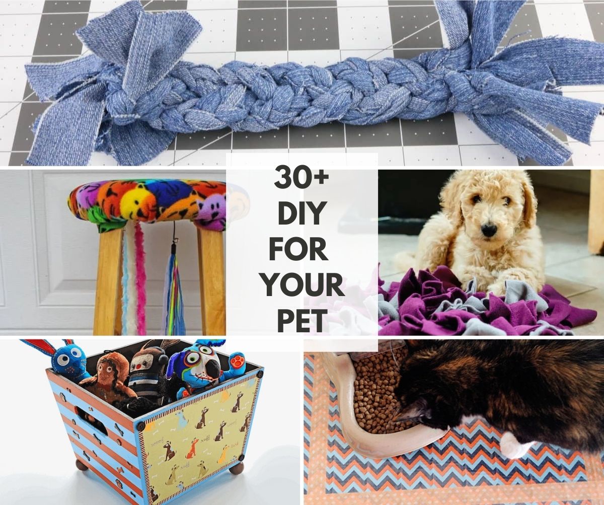 DIY CRAFTS TO MAKE FOR YOUR DOG OR CAT