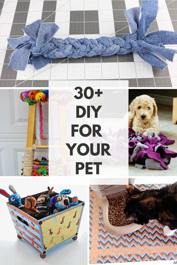 DIY CRAFTS TO MAKE FOR YOUR DOG OR CAT