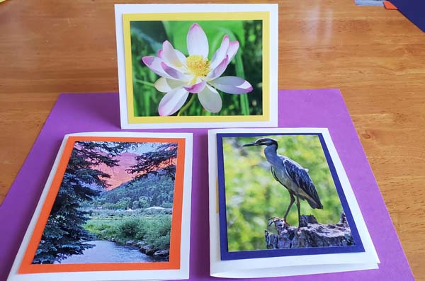 DIY Photo Cards 3 Completed Card Fronts