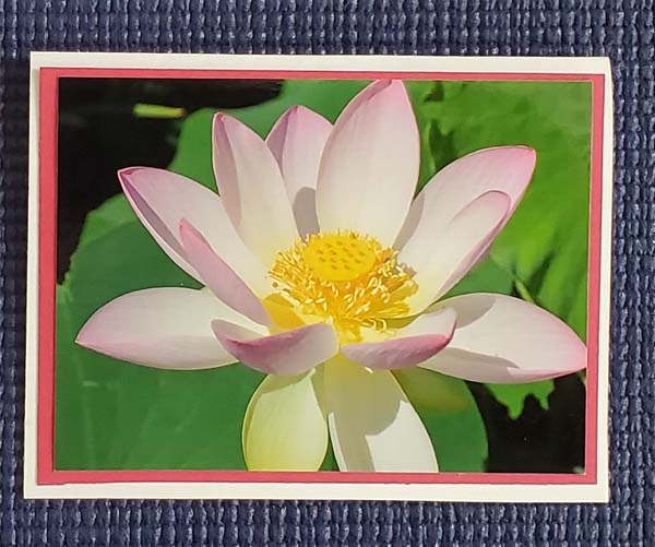 DIY Photo Cards Flower 3