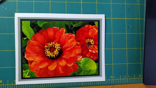 DIY Photo Cards Flowers 2