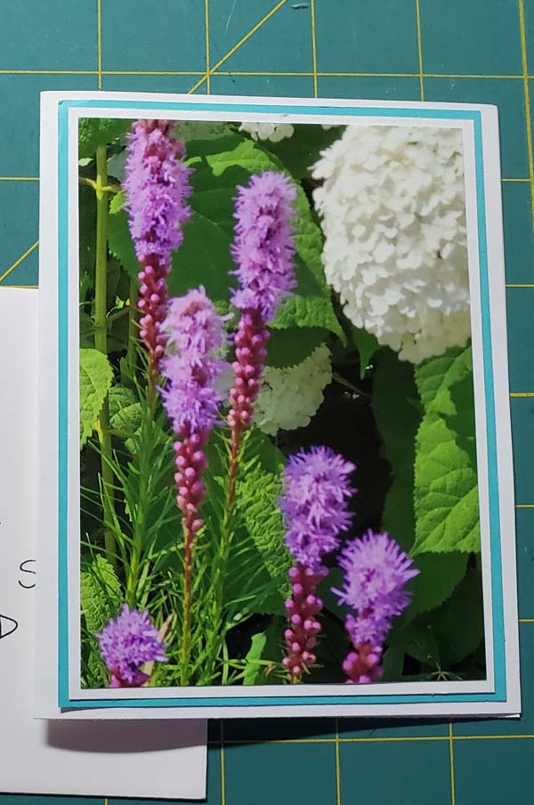 DIY Photo Cards Flowers