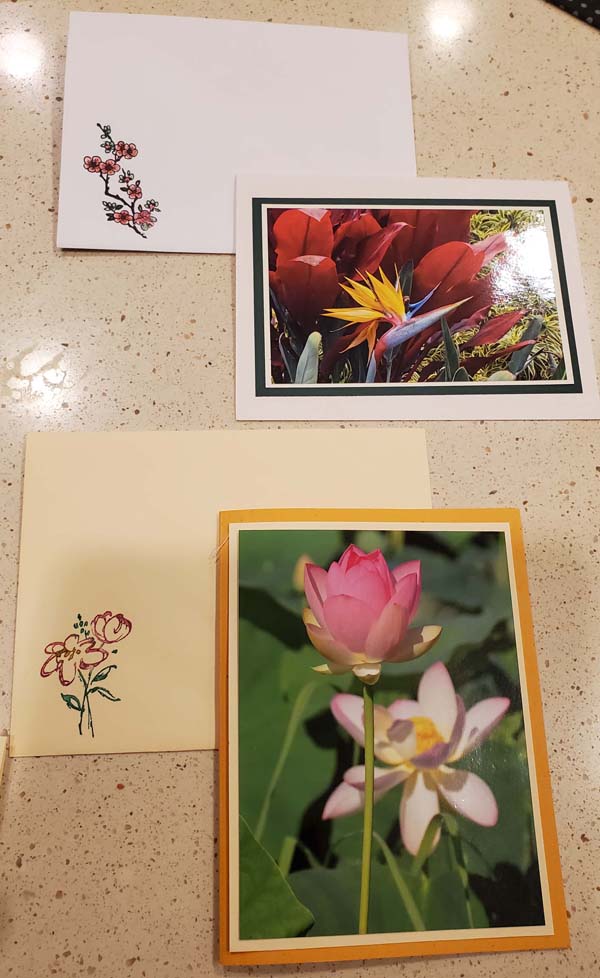 DIY Photo Cards with Decorated Envelopes