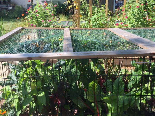 DIY Raised Garden Bed Covers On Bed 1