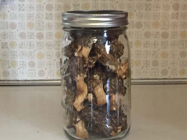 Dehydrated Morel mushrooms stored in jar