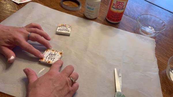 Dollar Store Mini Magnets 17 Size Picture