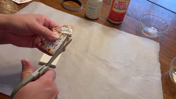 Dollar Store Mini Magnets 18 Trim Picture