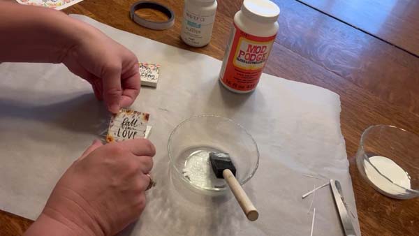 Dollar Store Mini Magnets 20 Place Picture