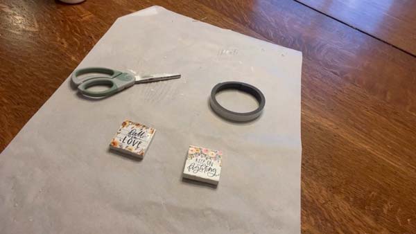 Dollar Store Mini Magnets 24 Magnet Supplies