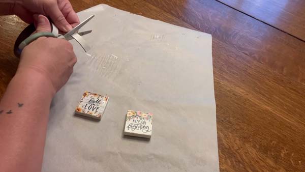 Dollar Store Mini Magnets 25 Cut Magnet