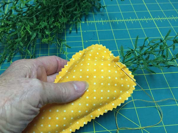 Fabric Carrot Add Greens