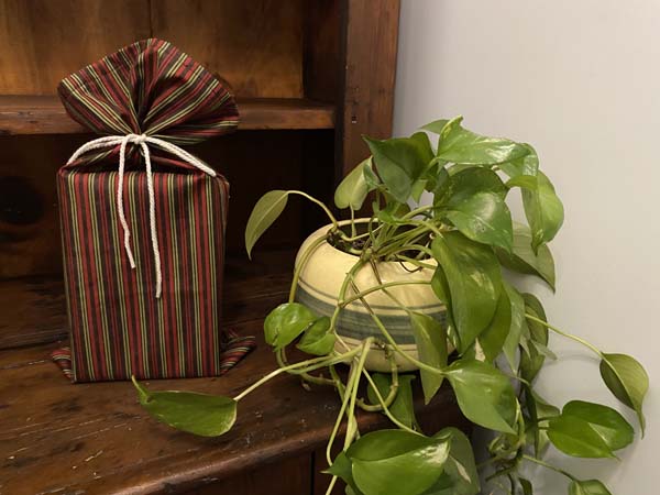 Fabric Gift Bag with Plant on Counter