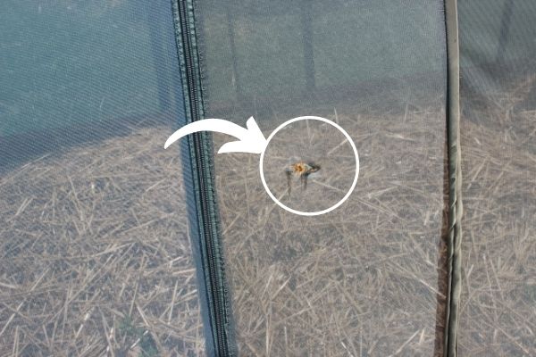 Fix Garden Covers Insect Netting Hole