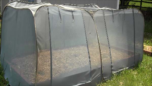 Fix Garden Covers Insect Netting