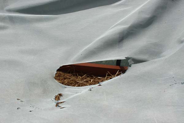 Fix Garden Covers Insect Netting Large Hole