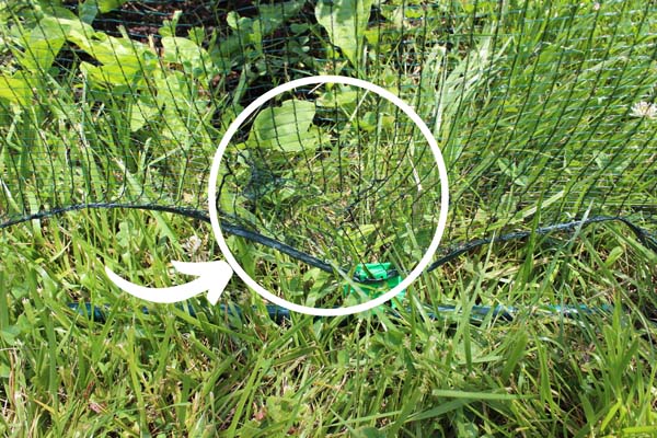 Fix Garden Covers Blueberry Netting - Previous fix