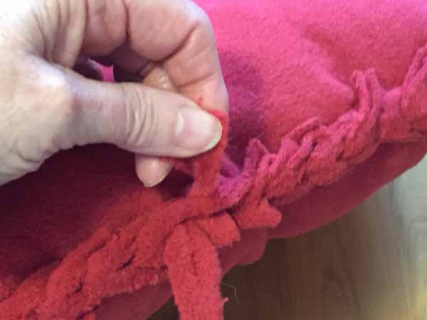 Fleece Heart Pillow Finish Last Braids