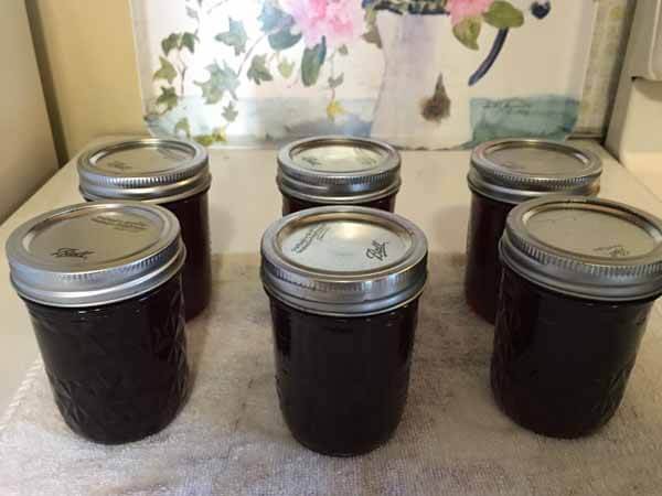 Foraging Wineberry - Jelly