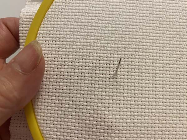 French Knot 1 Bring Needle Up