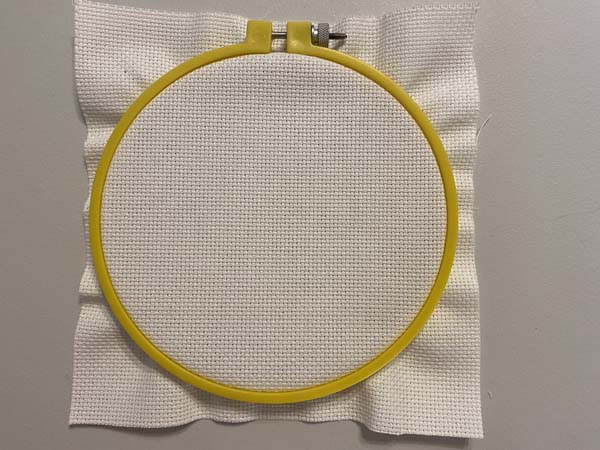 French Knot Hoop Fabric