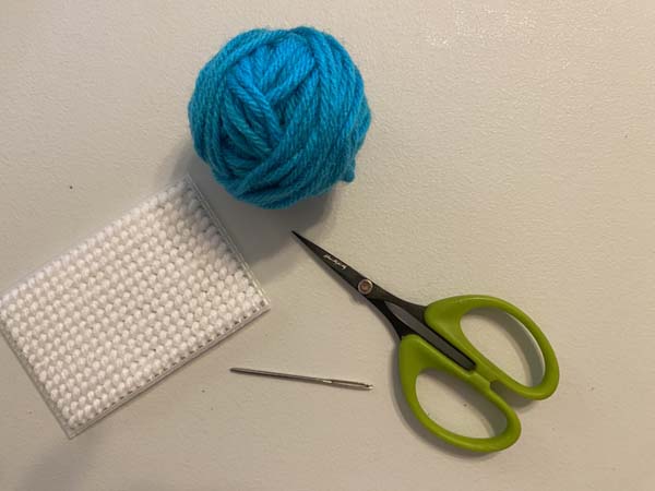 French Knot Plastic Canvas 1