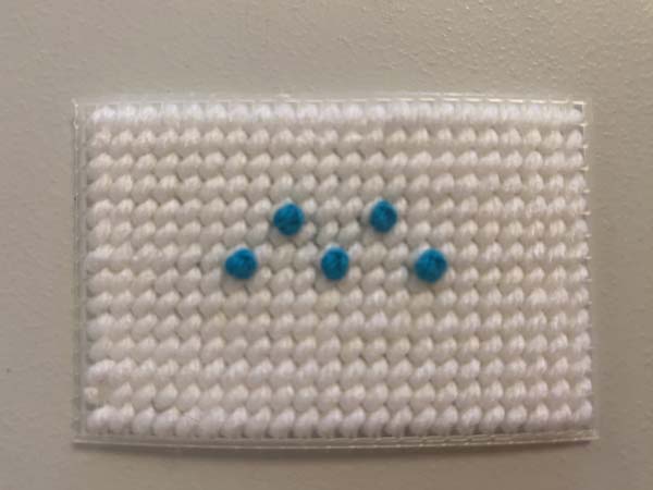 French Knot Plastic Canvas 11