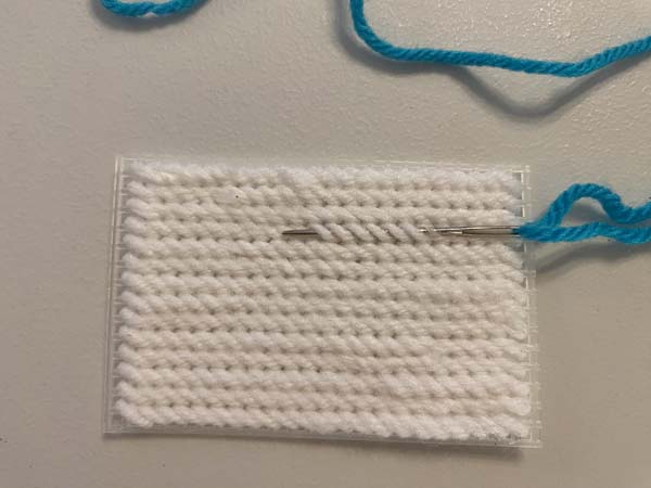 French Knot Plastic Canvas 5