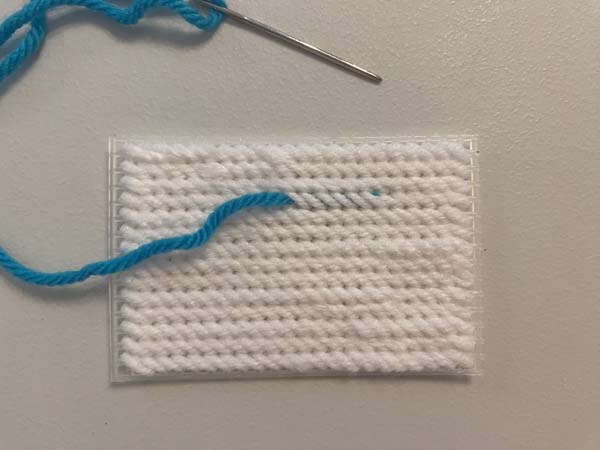 French Knot Plastic Canvas 6