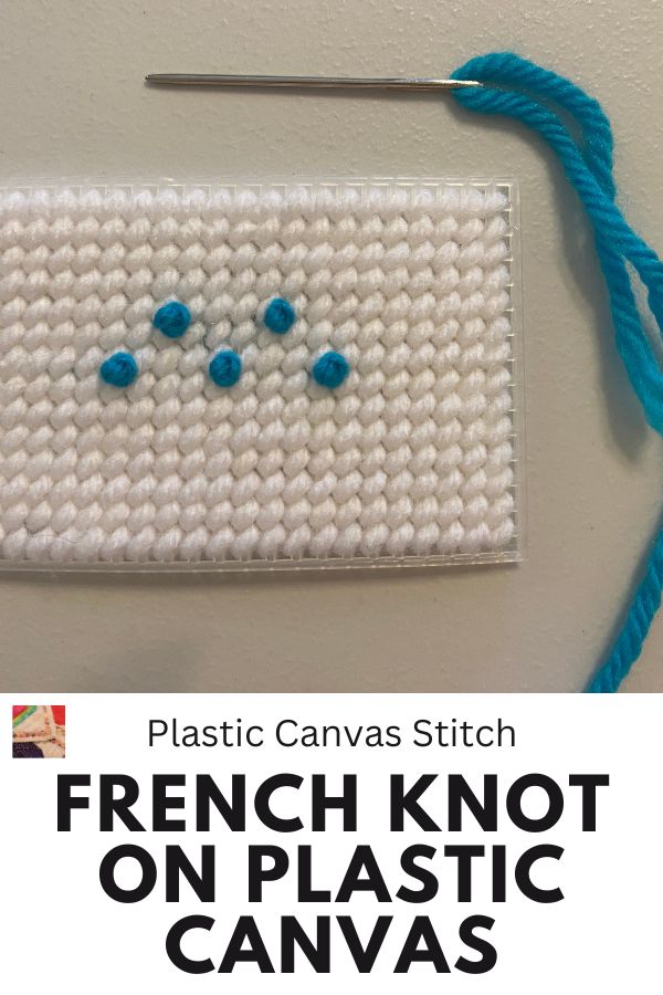 French Knot Plastic Canvas pin