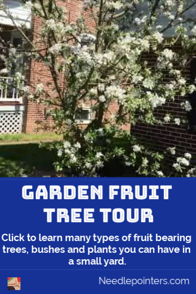 Garden Fruit Tree Tour - pin