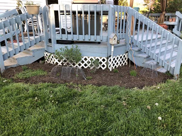 Garden Tour Herb Garden