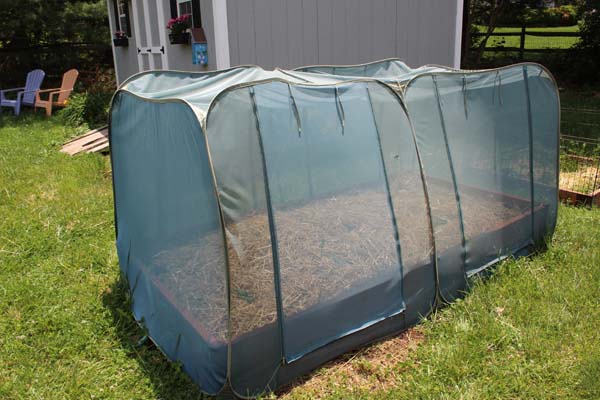 Garden Tour Tent over squash