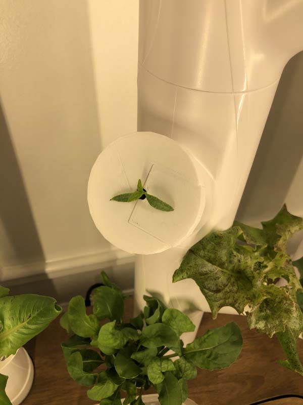 Gardyn 3d printed algae cover on garden