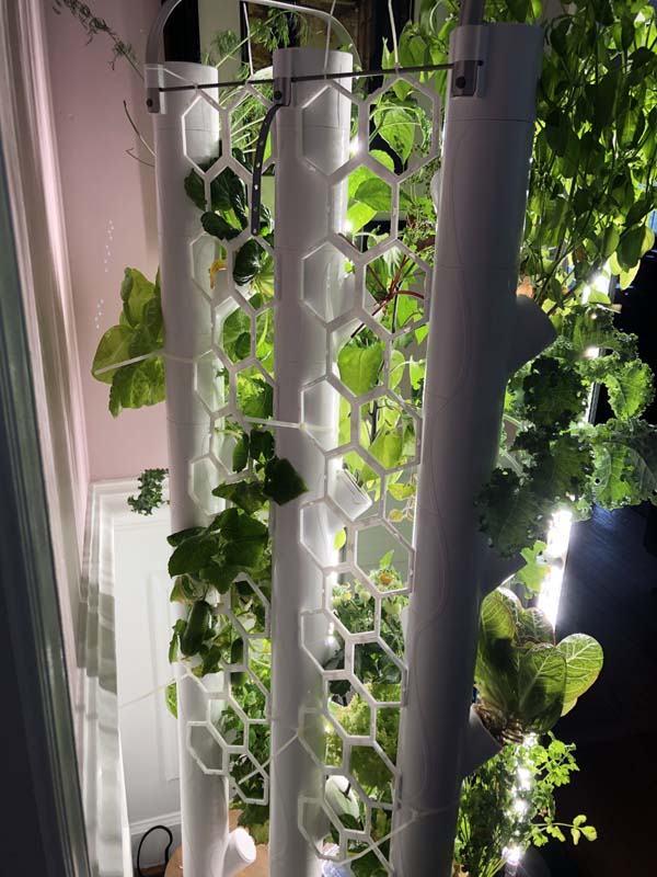 Gardyn 3d printed trellis whole view from back