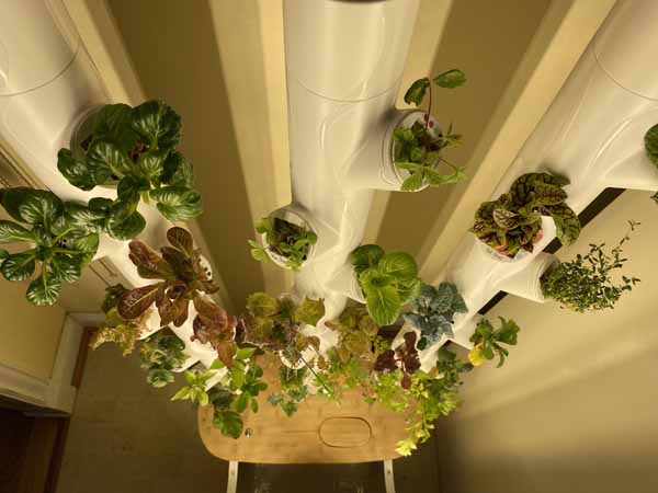 Gardyn System Looking Down