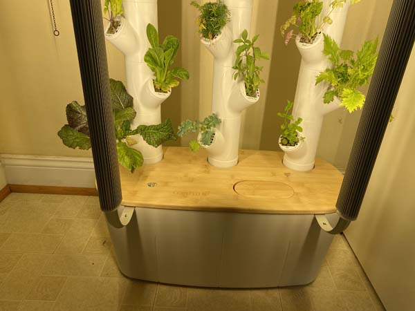 Gardyn Indoor Vertical Garden System Showing Base
