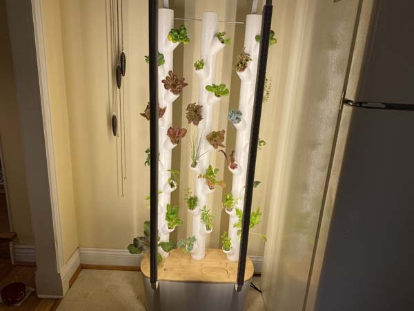 Gardyn System with Lights 2