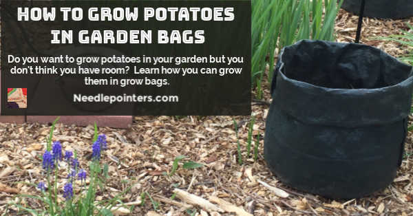 DIY Potato Grow Bag  Growing potatoes, Grow bags, Container gardening