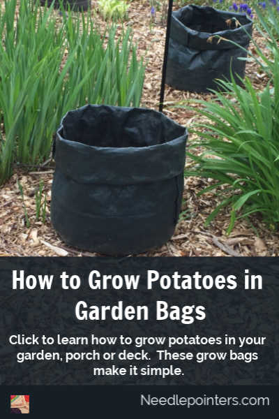 How to Grow Potatoes in Bags - pin