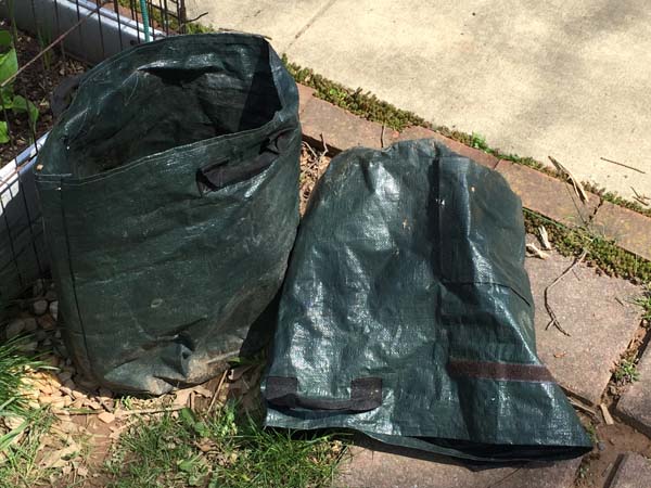 Growing Potatoes in Bags - Bags