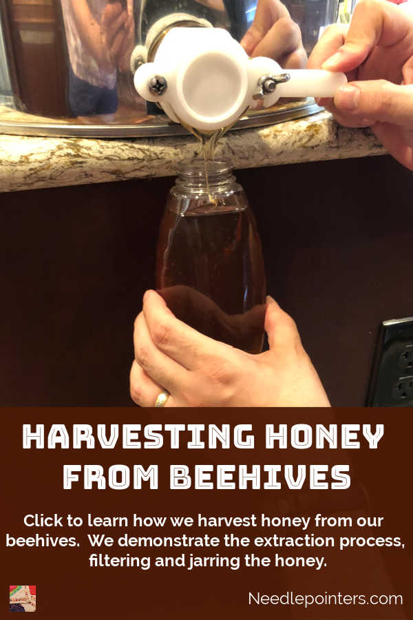 Harvesting Honey from Beehives - pin 2